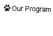 Our Program